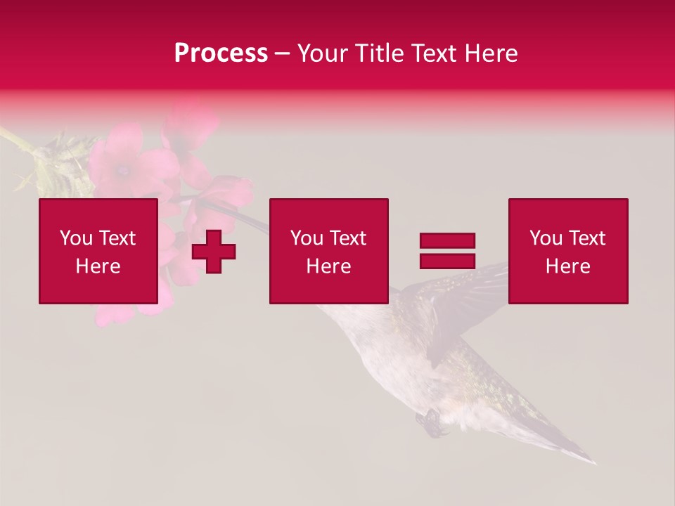A Hummingbird Feeding From A Pink Flower PowerPoint Template