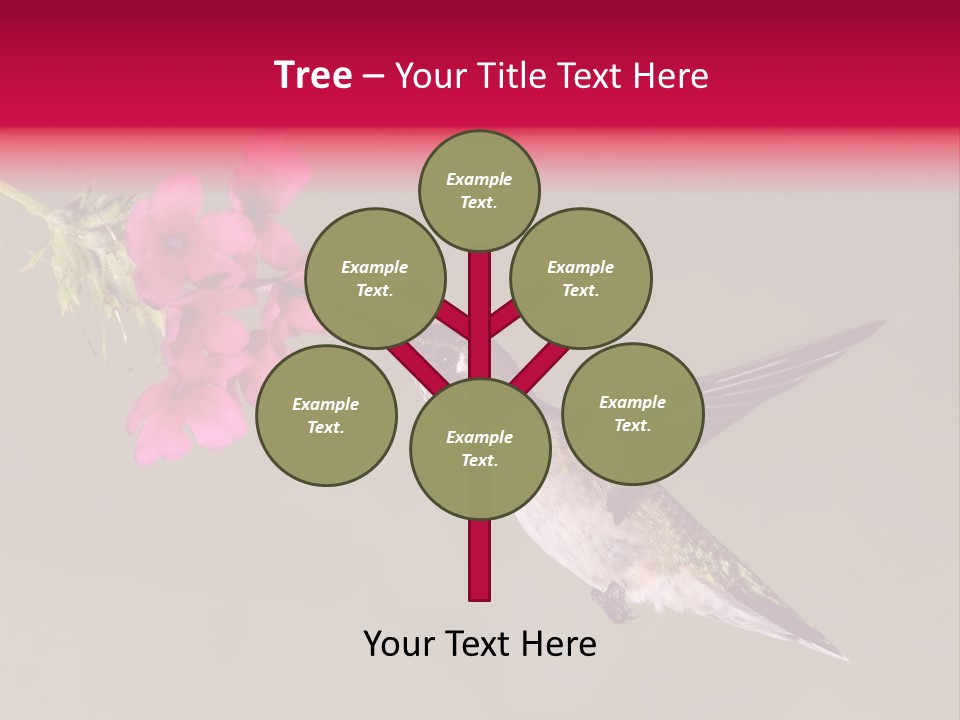 A Hummingbird Feeding From A Pink Flower PowerPoint Template