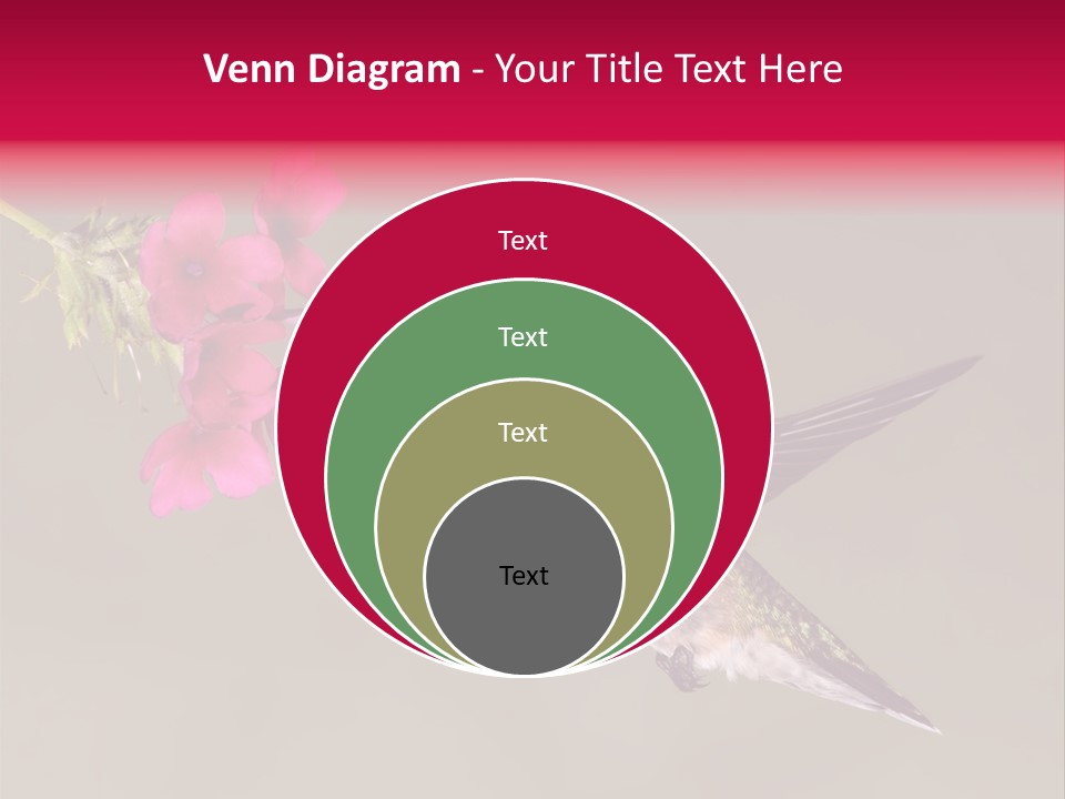 A Hummingbird Feeding From A Pink Flower PowerPoint Template