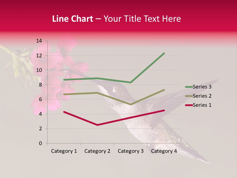 A Hummingbird Feeding From A Pink Flower PowerPoint Template
