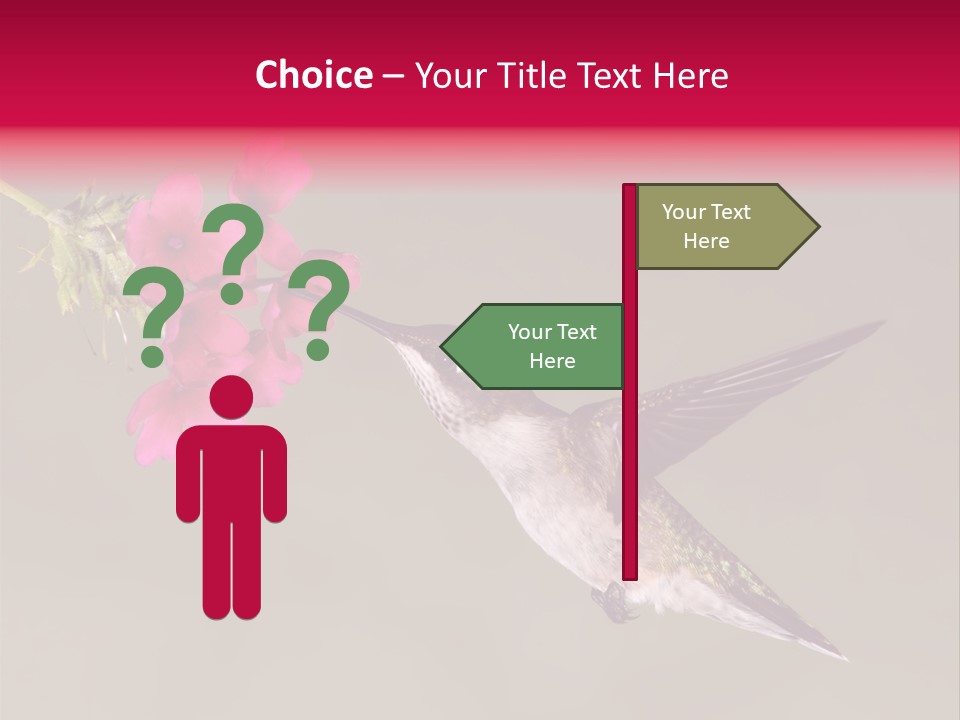 A Hummingbird Feeding From A Pink Flower PowerPoint Template