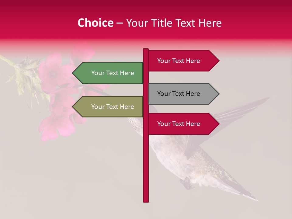 A Hummingbird Feeding From A Pink Flower PowerPoint Template