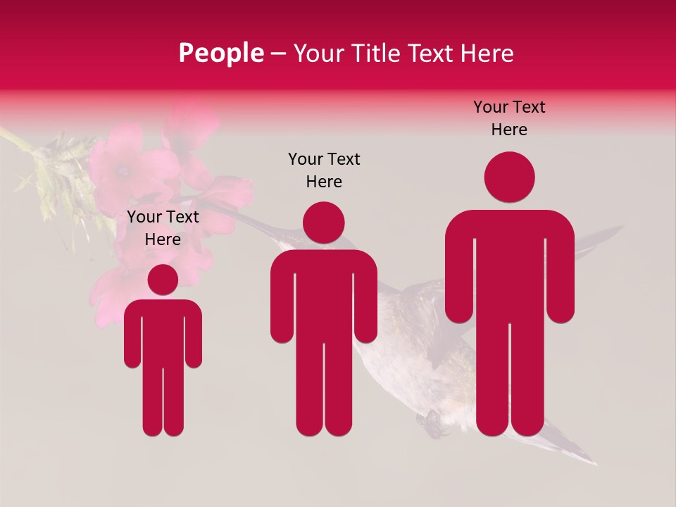 A Hummingbird Feeding From A Pink Flower PowerPoint Template