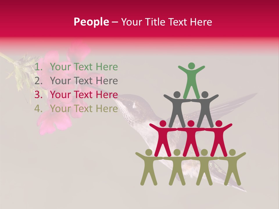 A Hummingbird Feeding From A Pink Flower PowerPoint Template