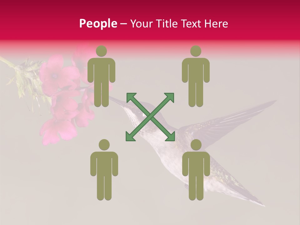 A Hummingbird Feeding From A Pink Flower PowerPoint Template
