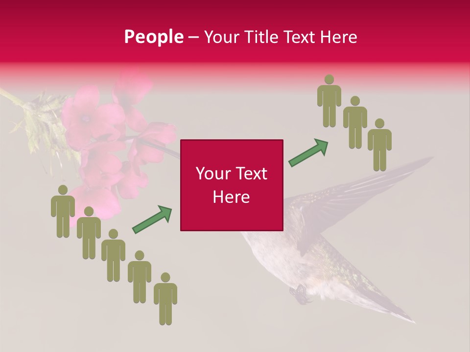 A Hummingbird Feeding From A Pink Flower PowerPoint Template