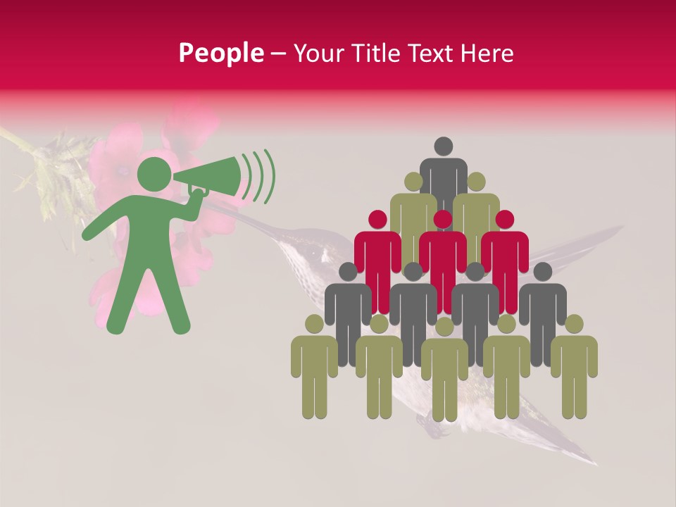 A Hummingbird Feeding From A Pink Flower PowerPoint Template