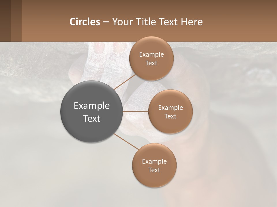 A Person Is Holding Their Hand Up To A Rock PowerPoint Template