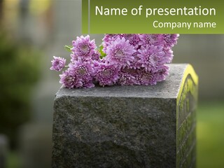A Bunch Of Purple Flowers Sitting On Top Of A Cement Block PowerPoint Template