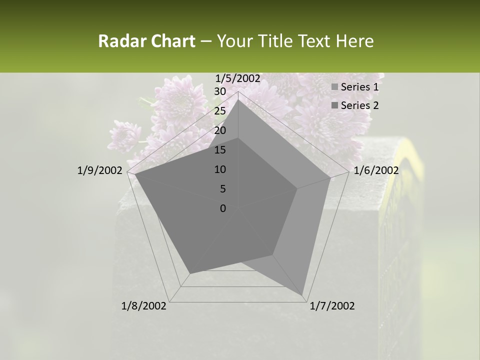 A Bunch Of Purple Flowers Sitting On Top Of A Cement Block PowerPoint Template