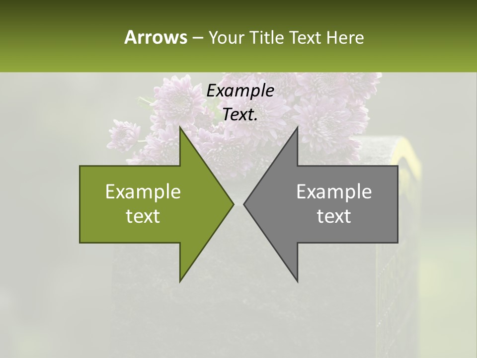 A Bunch Of Purple Flowers Sitting On Top Of A Cement Block PowerPoint Template