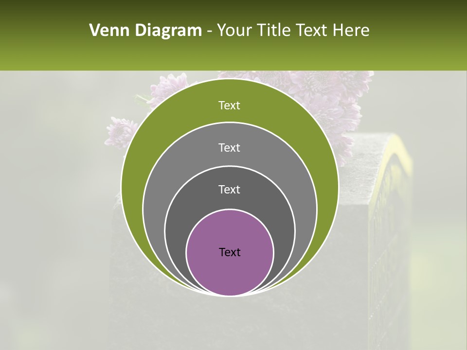 A Bunch Of Purple Flowers Sitting On Top Of A Cement Block PowerPoint Template