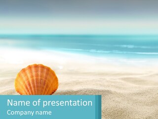 A Seashell On A Sandy Beach With The Ocean In The Background PowerPoint Template