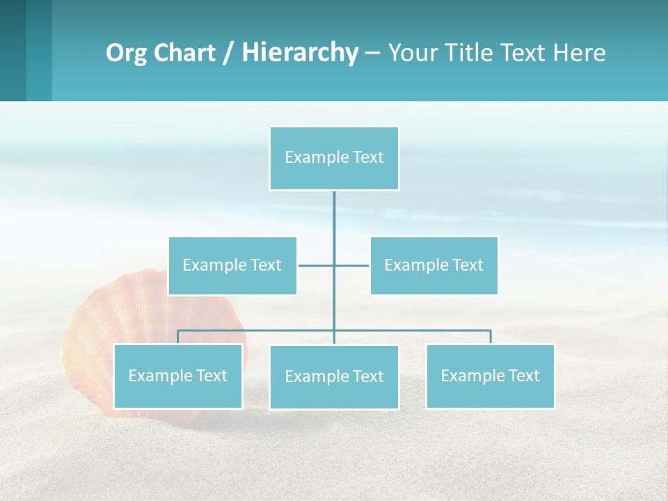 A Seashell On A Sandy Beach With The Ocean In The Background PowerPoint Template