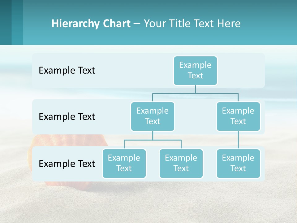 A Seashell On A Sandy Beach With The Ocean In The Background PowerPoint Template