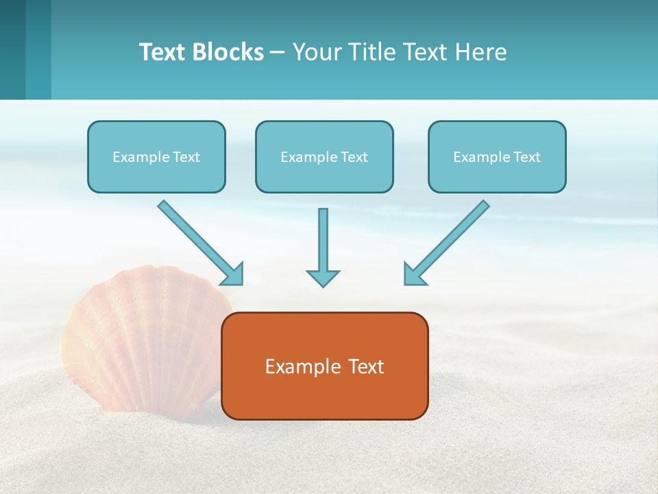 A Seashell On A Sandy Beach With The Ocean In The Background PowerPoint Template
