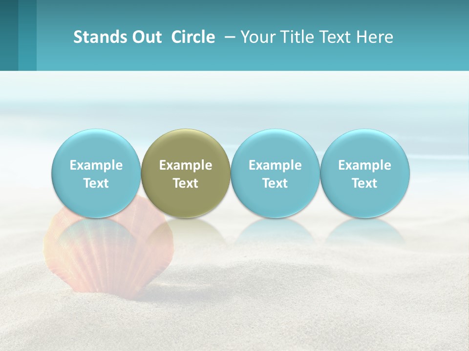 A Seashell On A Sandy Beach With The Ocean In The Background PowerPoint Template
