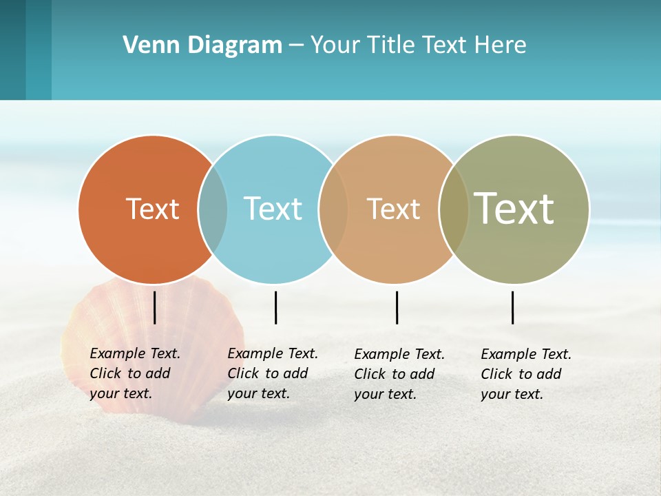 A Seashell On A Sandy Beach With The Ocean In The Background PowerPoint Template