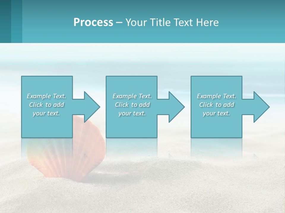 A Seashell On A Sandy Beach With The Ocean In The Background PowerPoint Template
