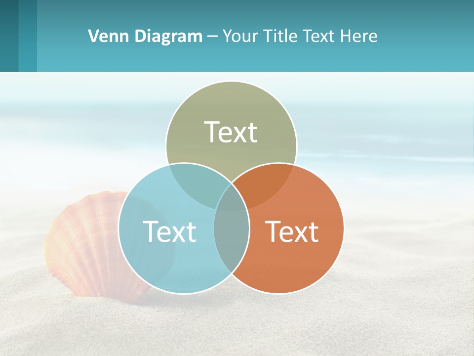 A Seashell On A Sandy Beach With The Ocean In The Background PowerPoint Template
