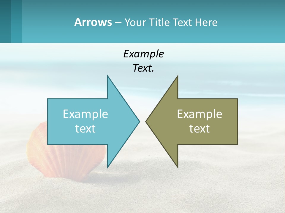 A Seashell On A Sandy Beach With The Ocean In The Background PowerPoint Template