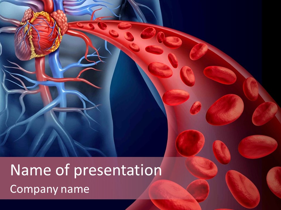 A Blood Flow Powerpoint Presentation Is Shown PowerPoint Template
