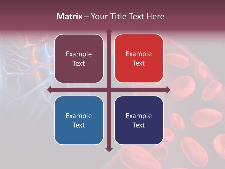 A Blood Flow Powerpoint Presentation Is Shown PowerPoint Template