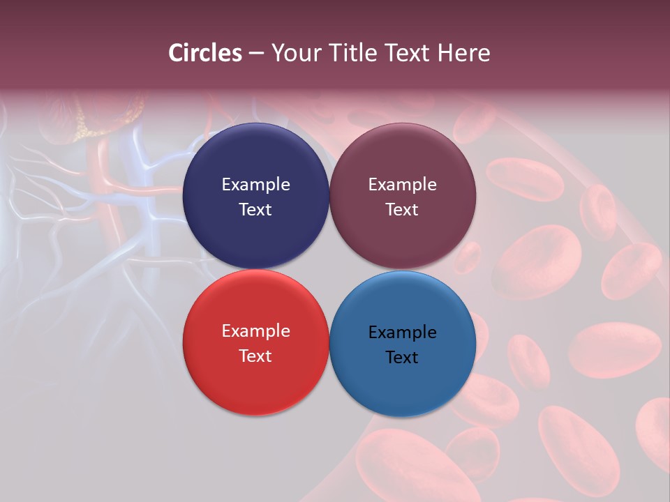 A Blood Flow Powerpoint Presentation Is Shown PowerPoint Template