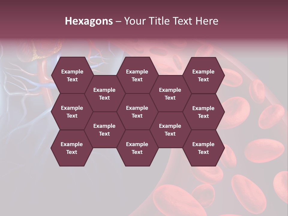 A Blood Flow Powerpoint Presentation Is Shown PowerPoint Template