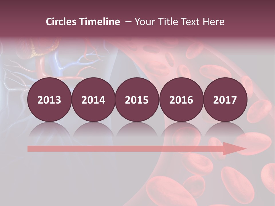 A Blood Flow Powerpoint Presentation Is Shown PowerPoint Template