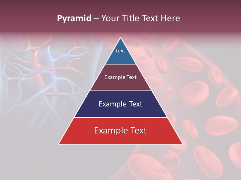 A Blood Flow Powerpoint Presentation Is Shown PowerPoint Template