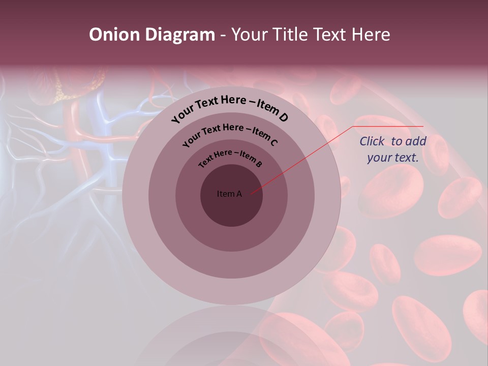 A Blood Flow Powerpoint Presentation Is Shown PowerPoint Template