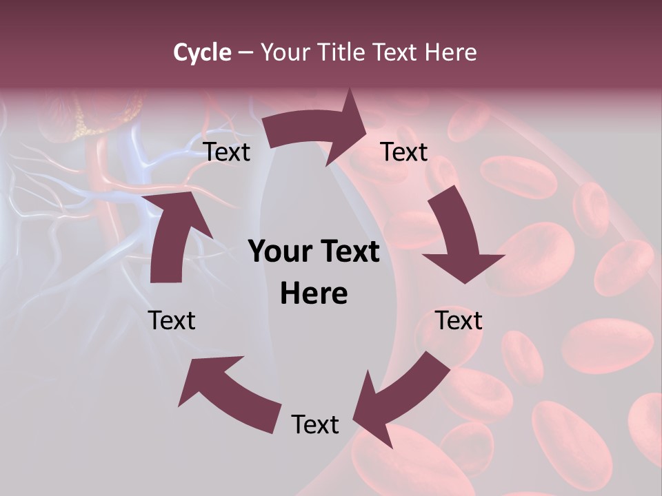 A Blood Flow Powerpoint Presentation Is Shown PowerPoint Template
