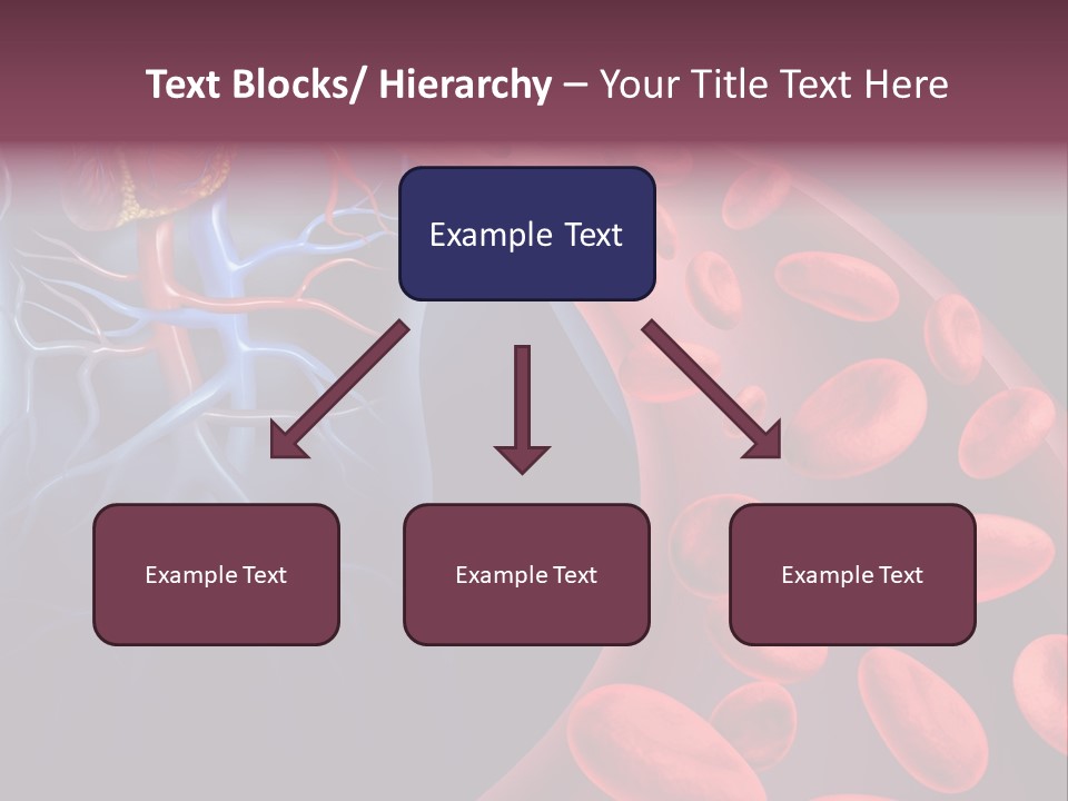 A Blood Flow Powerpoint Presentation Is Shown PowerPoint Template