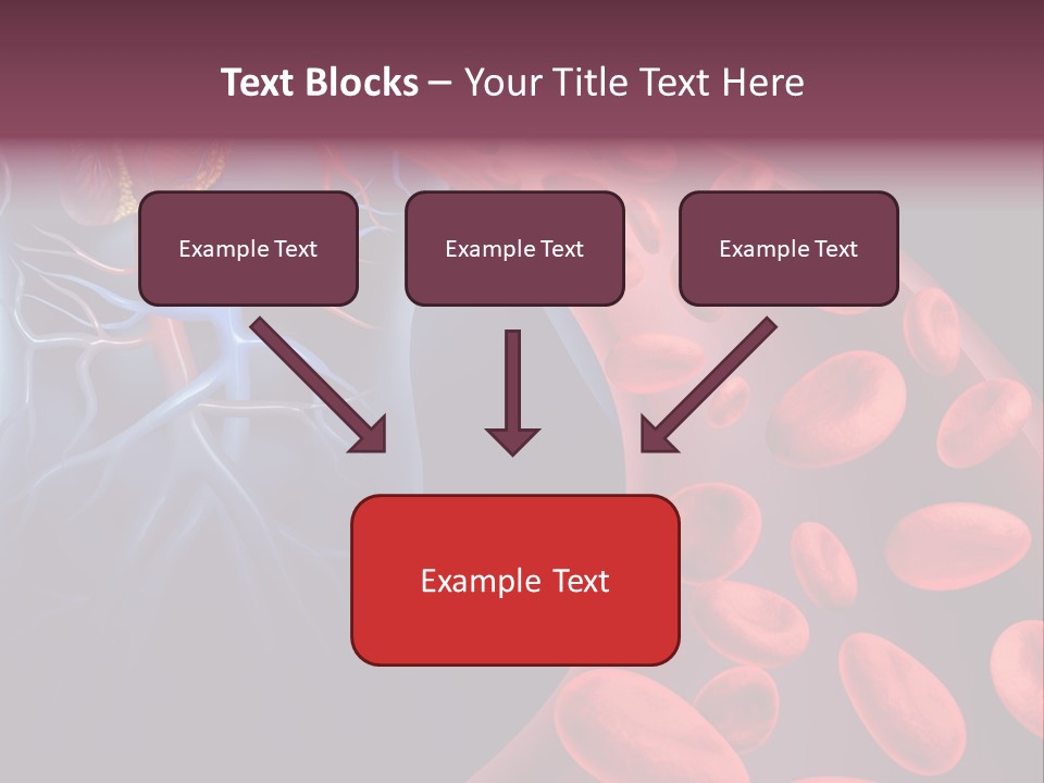A Blood Flow Powerpoint Presentation Is Shown PowerPoint Template