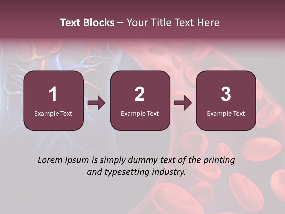 A Blood Flow Powerpoint Presentation Is Shown PowerPoint Template