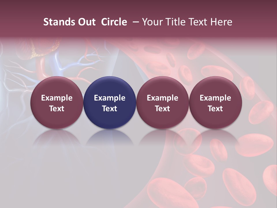 A Blood Flow Powerpoint Presentation Is Shown PowerPoint Template