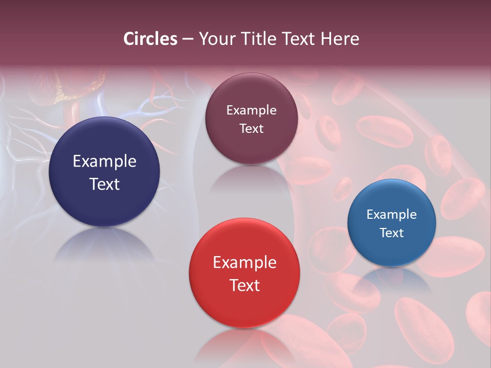 A Blood Flow Powerpoint Presentation Is Shown PowerPoint Template