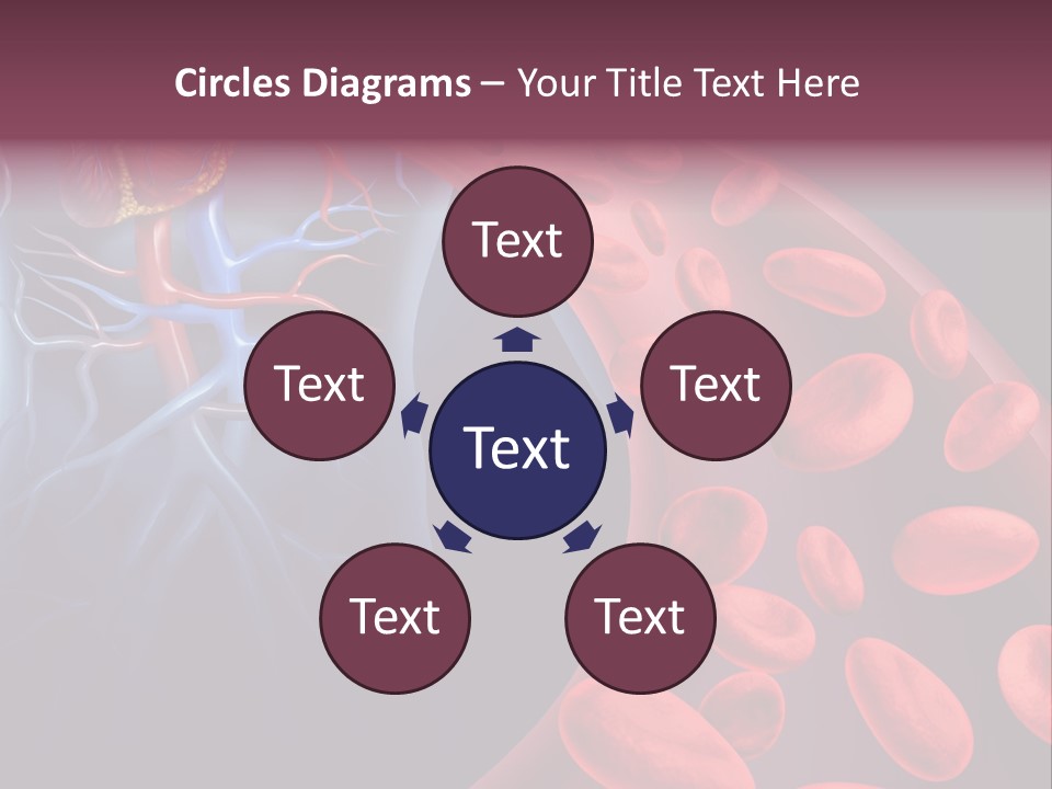 A Blood Flow Powerpoint Presentation Is Shown PowerPoint Template