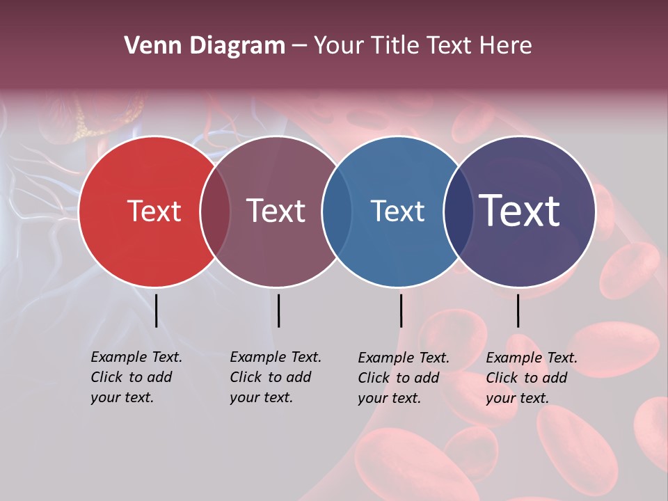 A Blood Flow Powerpoint Presentation Is Shown PowerPoint Template