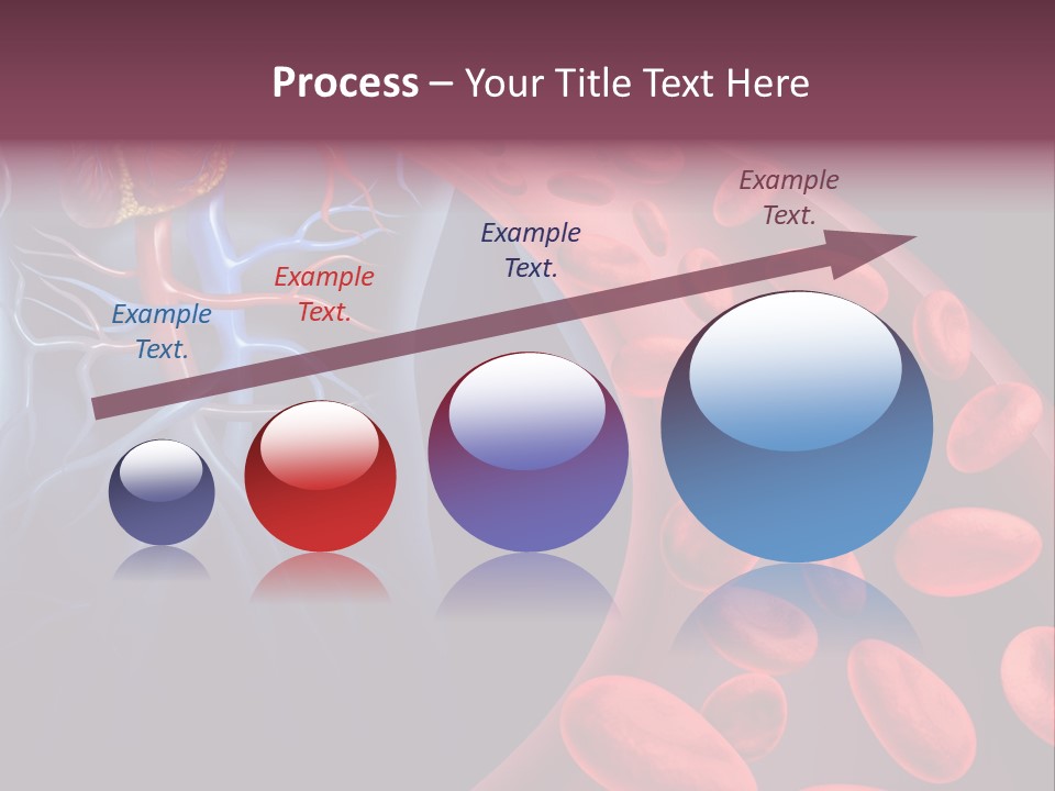A Blood Flow Powerpoint Presentation Is Shown PowerPoint Template
