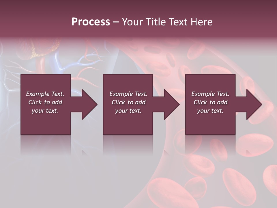 A Blood Flow Powerpoint Presentation Is Shown PowerPoint Template