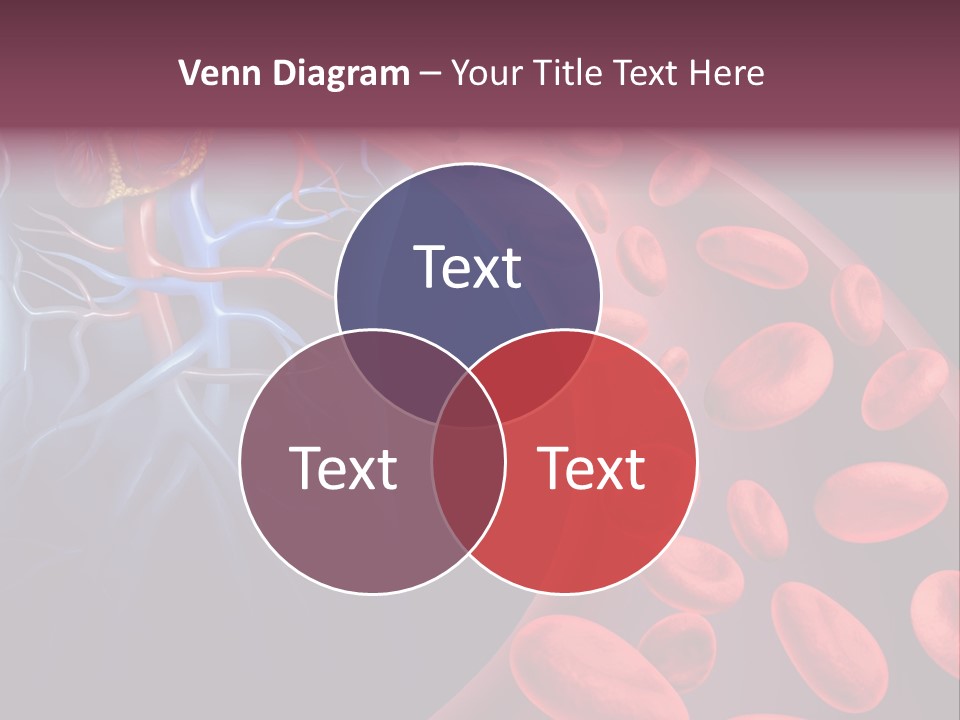 A Blood Flow Powerpoint Presentation Is Shown PowerPoint Template
