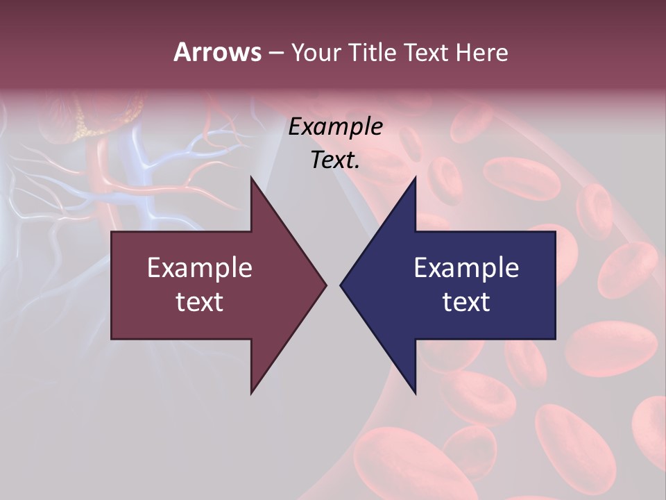 A Blood Flow Powerpoint Presentation Is Shown PowerPoint Template
