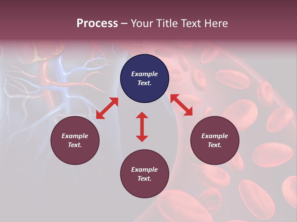 A Blood Flow Powerpoint Presentation Is Shown PowerPoint Template