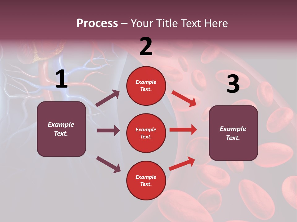 A Blood Flow Powerpoint Presentation Is Shown PowerPoint Template