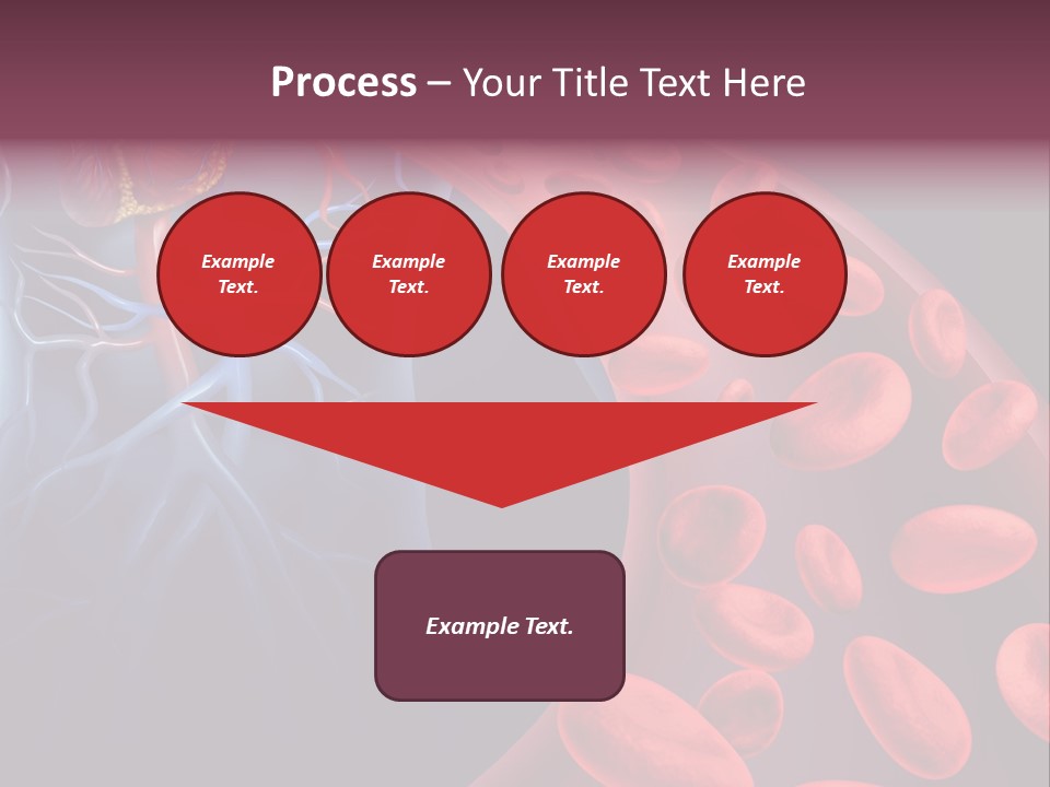 A Blood Flow Powerpoint Presentation Is Shown PowerPoint Template
