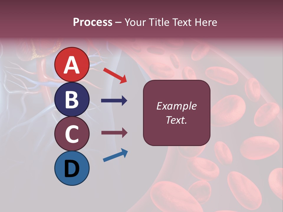A Blood Flow Powerpoint Presentation Is Shown PowerPoint Template
