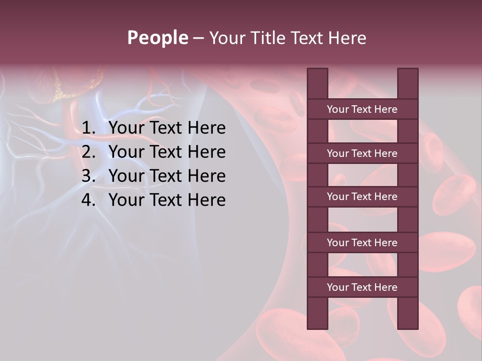 A Blood Flow Powerpoint Presentation Is Shown PowerPoint Template