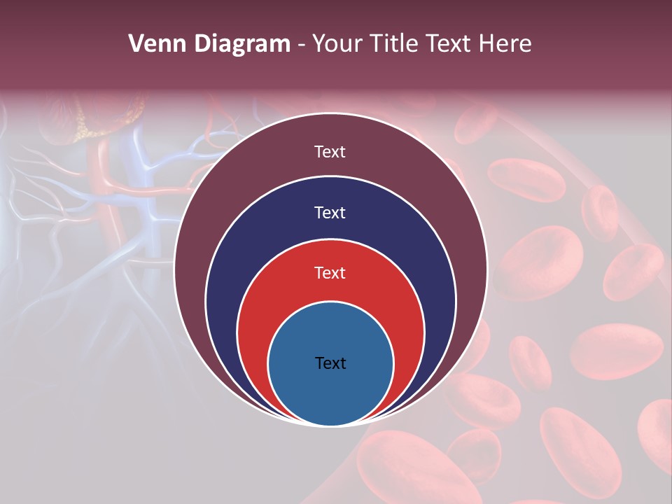 A Blood Flow Powerpoint Presentation Is Shown PowerPoint Template